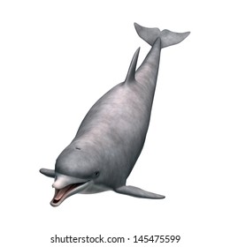3D digital render of a cute dolphin isolated on white background - Shutterstock ID 145475599