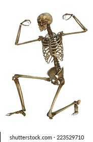 321,376 Human skeleton Images, Stock Photos & Vectors | Shutterstock