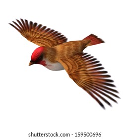 3d Digital Render Flying Scarlet Finch Stock Illustration 159500696 ...