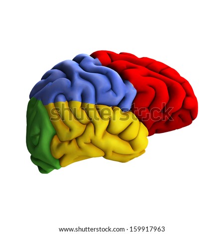 3 d digital render human brain diagram stock illustration 1599179633d digital render of a human brain diagram isolated on white background