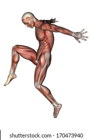 3D digital render of a jumping male anatomy figure with muscles map isolated on white background
