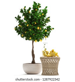 3D Digital Render Lemon Tree With Fruit