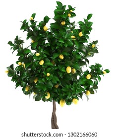 3D Digital Render Lemon Tree With Fruit