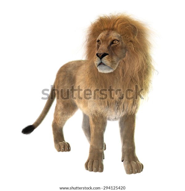 3d Digital Render Male Lion Isolated Stock Illustration 294125420 ...