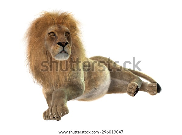 3d Digital Render Male Lion Resting Stock Illustration 296019047