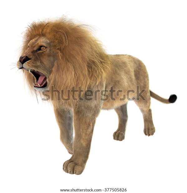 3d Digital Render Male Lion Isolated Stock Illustration 377505826