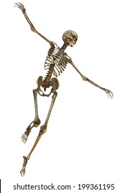 3d Digital Render Human Skeleton Ushirogeri Stock Illustration 233390398
