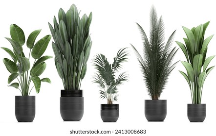 3D digital render of plant isolated on white background