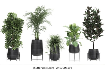 3D digital render of plant isolated on white background