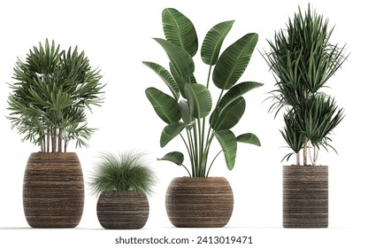 3D digital render of plant in a pot isolated on white background