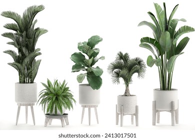 3D digital render of plant in a white modern pot isolated on white background
