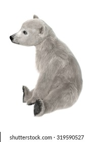 3D Digital Render Of A Polar Bear Cub Sitting Isolated On White Background