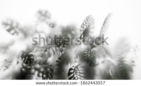 3D digital render of silhouette of monstera plant behind white frosted glass