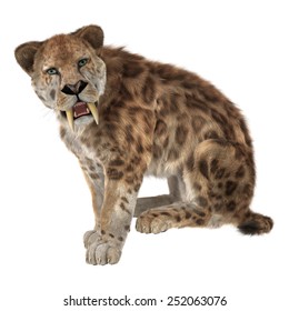 3D Digital Render Of A Sitting Smilodon Or A Saber Toothed Cat Isolated On White Background