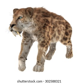 3D Digital Render Of A Smilodon Or A Saber Toothed Cat Isolated On White Background