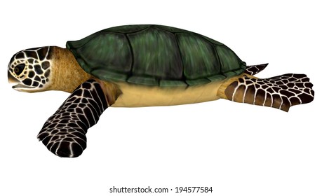 1,953 3d sea turtle Images, Stock Photos & Vectors | Shutterstock