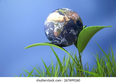 3D. Earth, Environment, Globe. Elements of this image furnished by NASA.