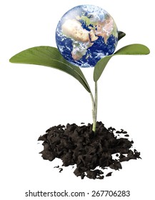 3D. Earth, Environment, Globe. Elements of this image furnished by NASA.