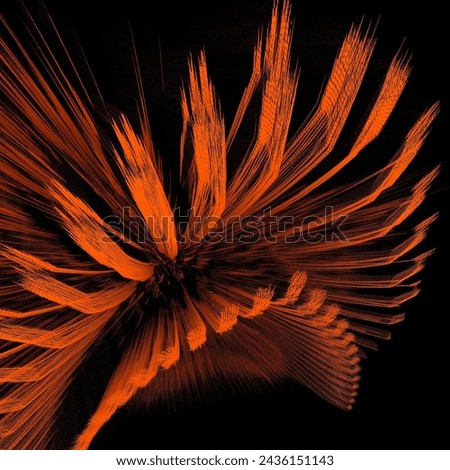 Similar – Image, Stock Photo be orange Flower Blossom