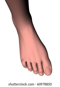3d generated realistic human foot