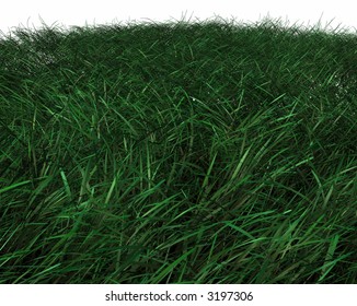 3d Grass Render Stock Illustration 3197306 | Shutterstock