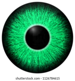 3d Green Eye Black Fringe White Stock Illustration 1126784615 ...