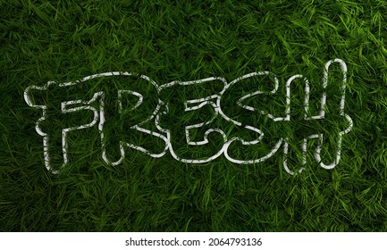 3d Green Grass And Fresh Single Word