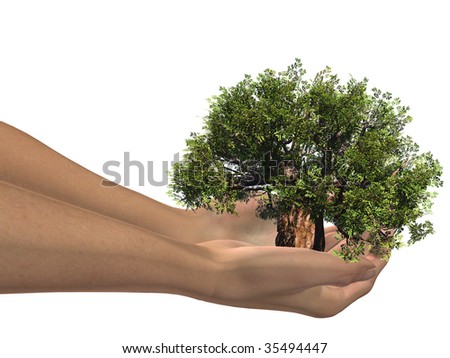 3D hands holding a 3D baobab tree, ideal for nature,environmental,growht and business designs