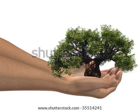 3D hands holding a 3D baobab tree, ideal for nature,environmental,growht and business designs