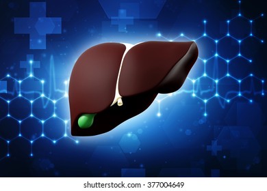 3d Human Liver Gallbladder Stock Illustration 377004649 