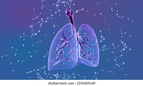 3d Human Lungs With Plexus Medical Background