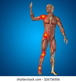 3D human or man with muscles for anatomy or health designs with articular or bones pain isolated on blue background for medical, fitness, medicine, bone, care, hurt, osteoporosis arthritis or body