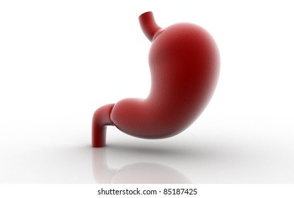 3d Human Stomach In Digital Background