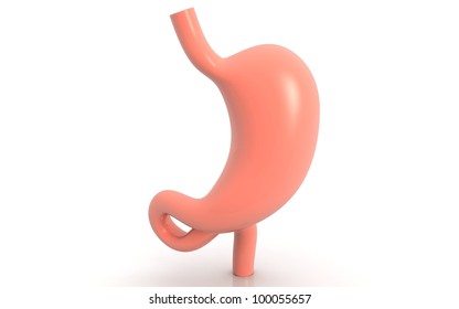 3D Human Stomach On White Background