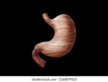 3D Human Stomach Wood Texture