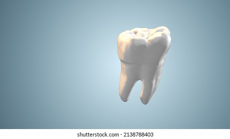 3d Human Tooth Anatomy Animation Abstract