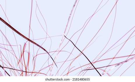 3d illustration of abstract objects and colors