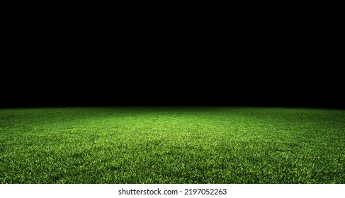 3D Illustration. Abstract sport stadium green grass with black top copy space background. Product copy space template background. - Powered by Shutterstock