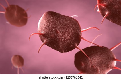 3d illustration of an activated platelets, also called thrombocytes responsible for the healing and closure of wounds