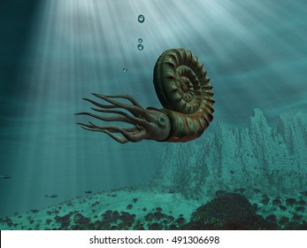 3d Illustration Ammonite Sea Stock Illustration Shutterstock