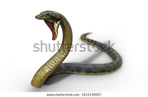 白い背景に3dイラストアナコンダ Boaが世界最大の毒蛇を収縮し 3dレンダリング のイラスト素材