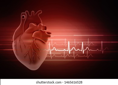 3d illustration  Anatomy of Human Heart 

