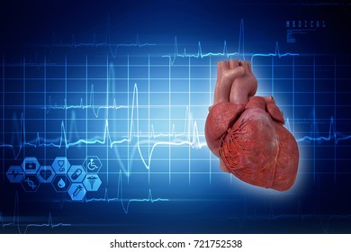 Human Heart Ecg 3d Illustration Stock Illustration 683870422