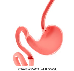 953 Food Inside Stomach Images, Stock Photos & Vectors | Shutterstock