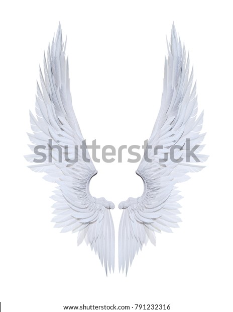 白い背景に切り取り線と白い羽根の3dイラスト天使の翼 のイラスト素材 791232316