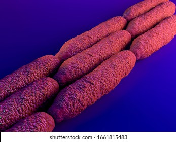 3d Illustration - Anthrax Bacteria