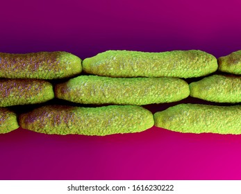 3d Illustration Of Anthrax Bacteria In High Details