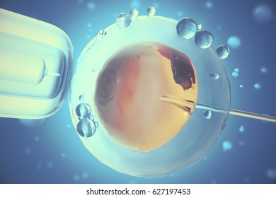 3d Illustration Artificial Insemination Invitro Fertilization Stock ...