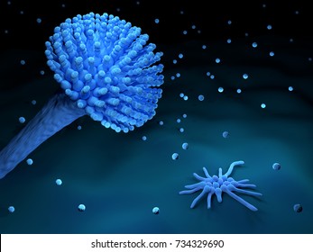 3d Illustration Of Aspergillus Fumigatus