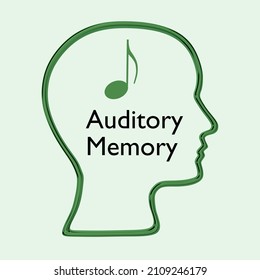 3D illustration of Auditory Memory script in a head silhouette with a musical note, isolated over pale green background.